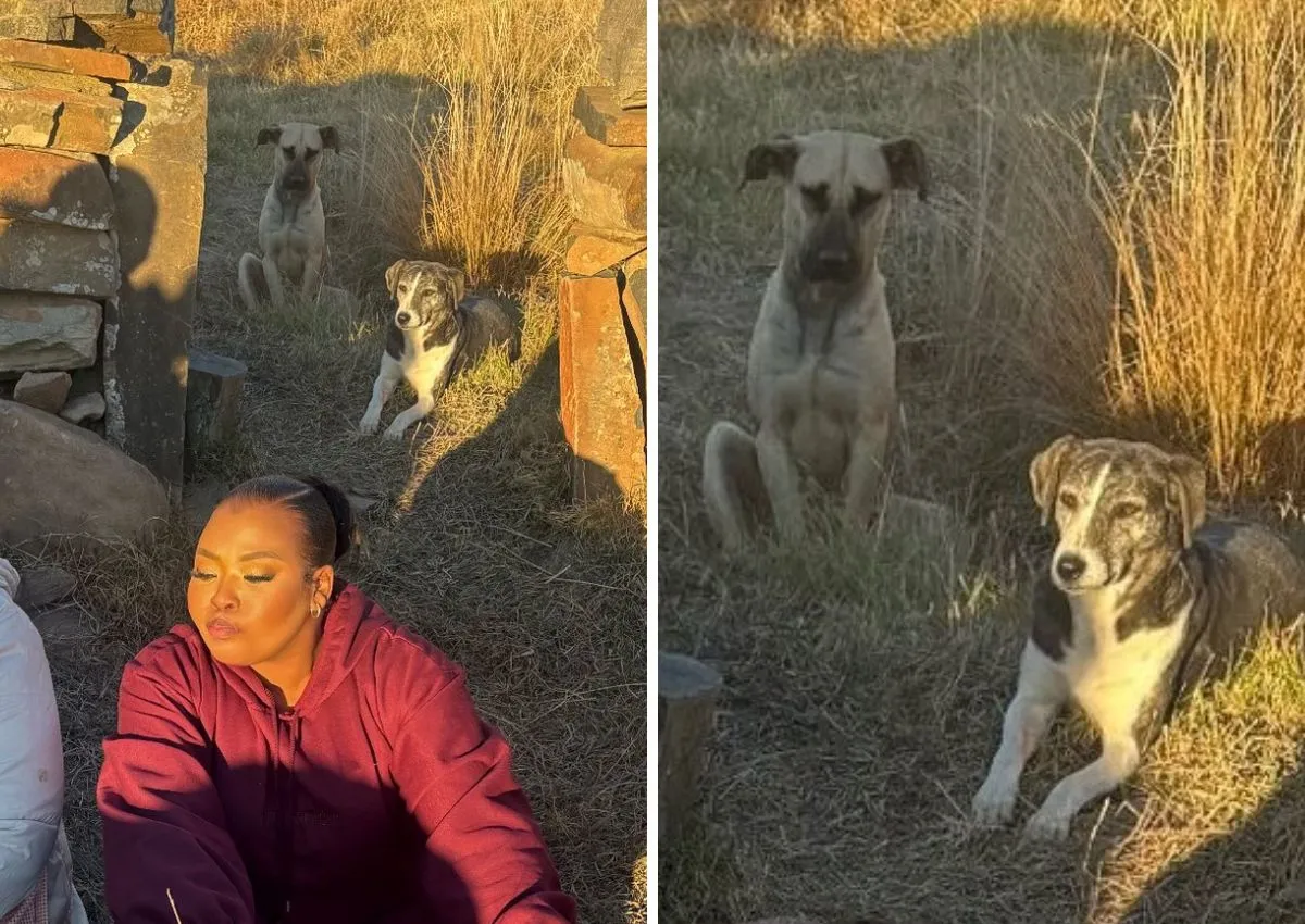 The-SPCA-has-responded-to-public-concern-about-an-image-posted-by-Anele-Mdoda.jpg