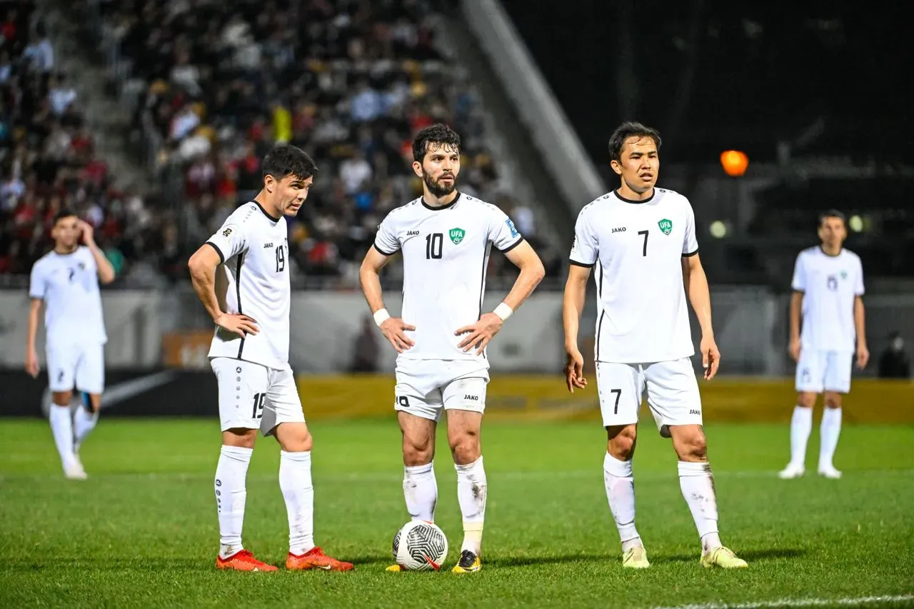 image_5W7KMVR9QF.webp