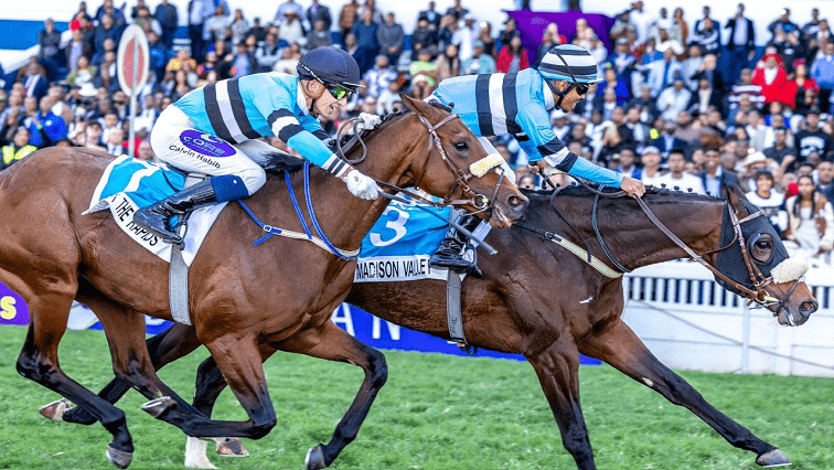 Durban-July-twitter-@Hollywoodbets-2