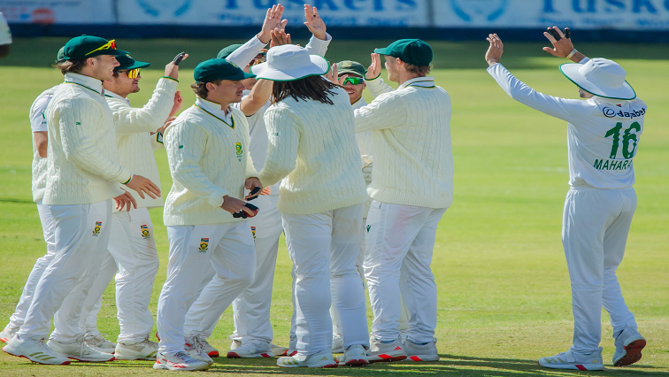 Proteas-Zim