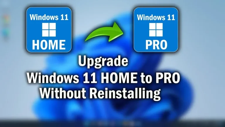 image_VLYJFDXR8H.webp