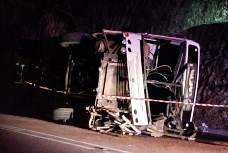 Tragic Women's Day: Remembering Four Lives Lost in Limpopo Bus Accident