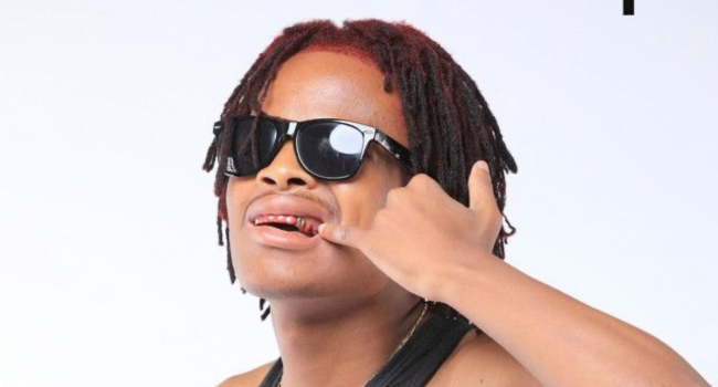 Rhythms of the South: Sastii's Ultimate Playlist for 'Coastal Rebels'