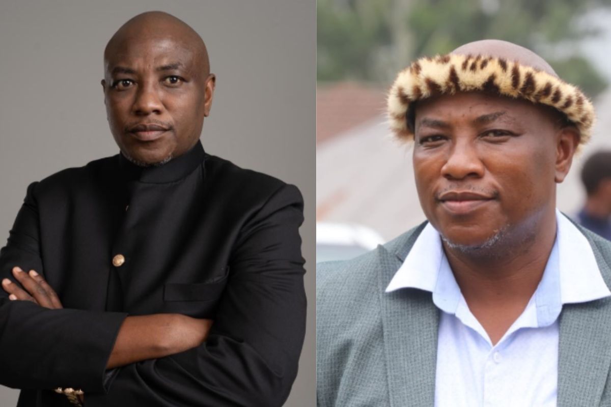 musa-official.jpg.optimal