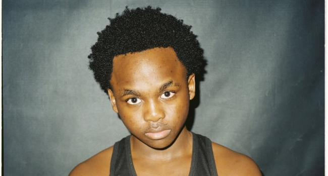 Melancholic Harmonies: The Union of Babylowsk1 and A Reece in 'Bojack'