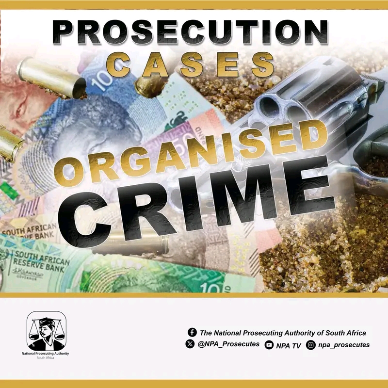 Ex-Skukuza Officials Receive 12-Year Sentences for Involvement in Rhino Poaching