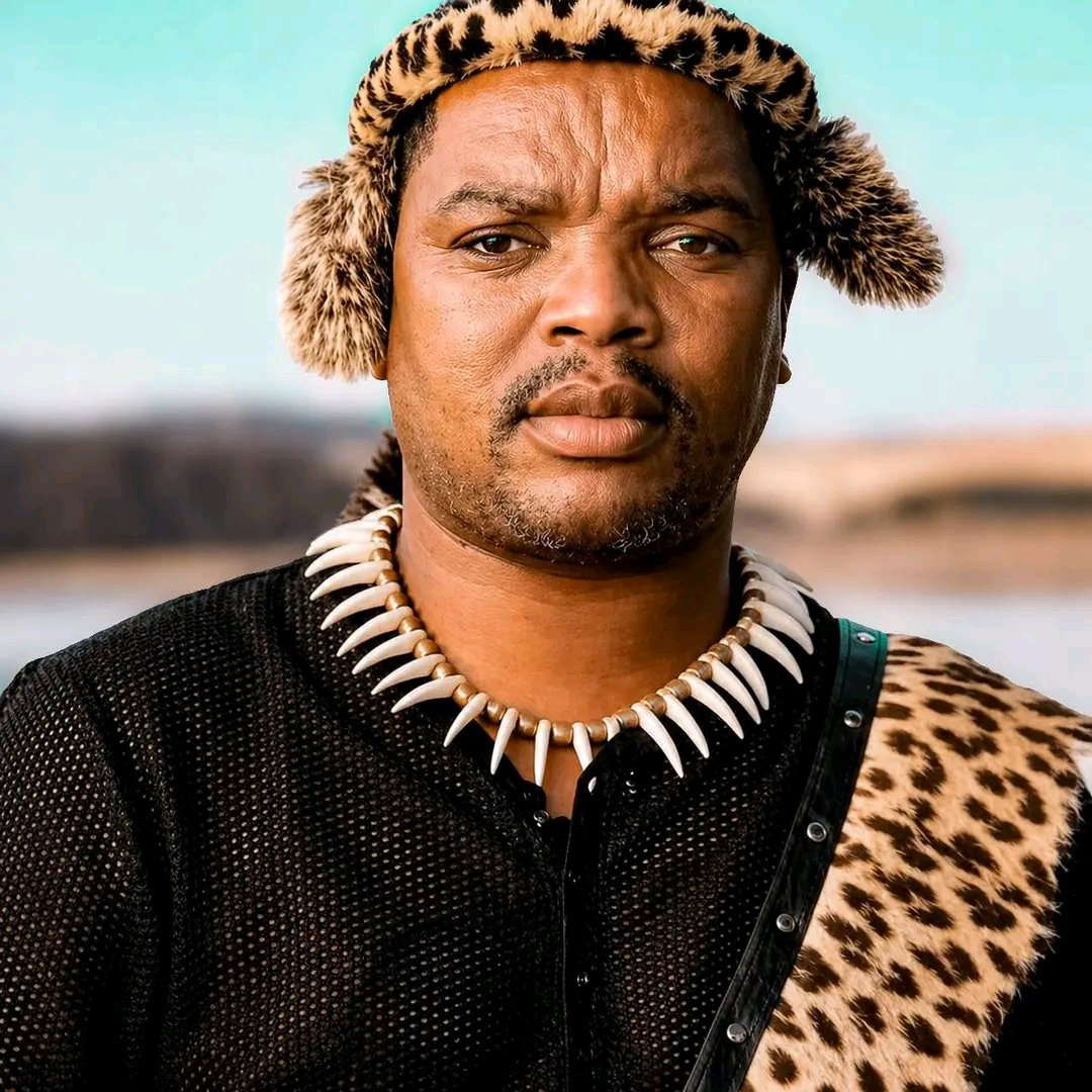 Arrest Made in Alleged Hitman Conspiracy Targeting Ngizwe Mchunu