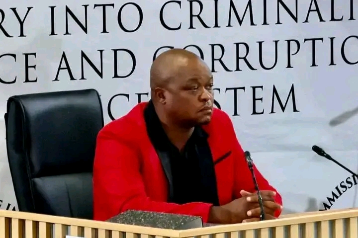 Brown Mogotsi Arrested Amid Suspected Assassination Hoax in Vosloorus