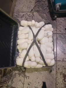 Dutch National Arrested at OR Tambo for Attempted Khat Smuggling Worth R240,000