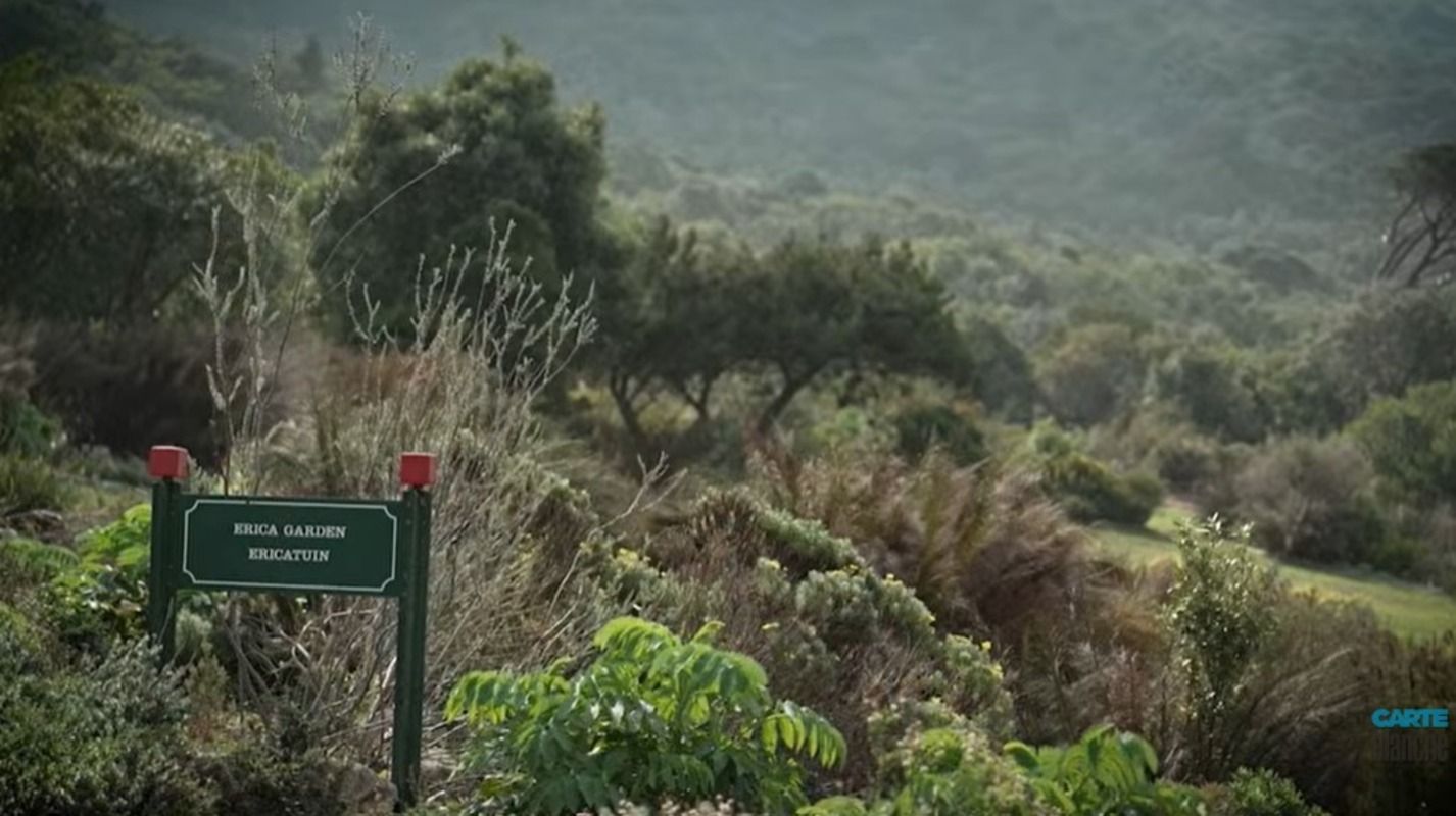 Rebirth at Kirstenbosch: A Fresh Era for 'Carte Blanche'