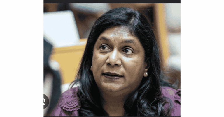 Andrea Johnson's Hospitalization Precludes Attendance at Madlanga Commission Hearing
