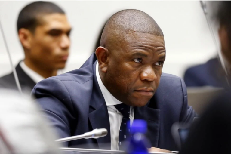 Committee Deliberations Heat Up as Mkhwanazi Report Deadline Nears