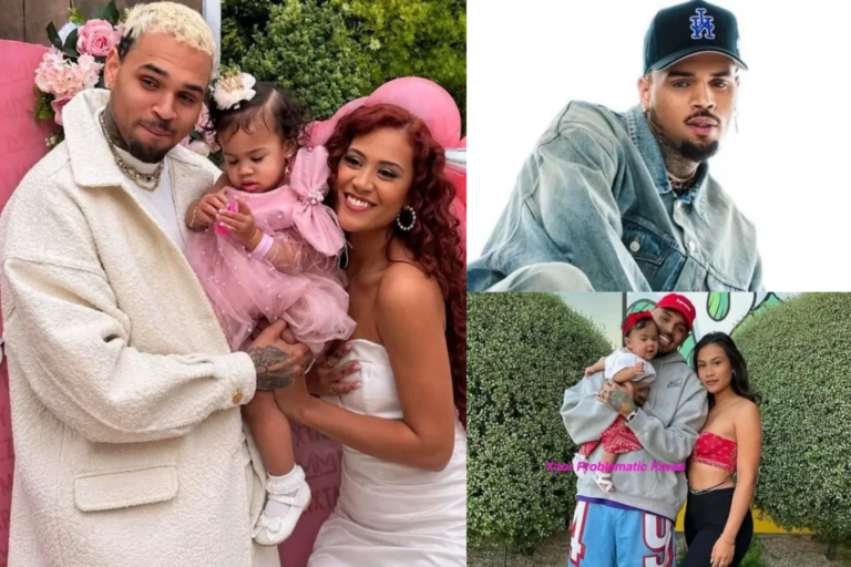 Chris Brown's Ex Seeks $45K Monthly Support for Their Daughter