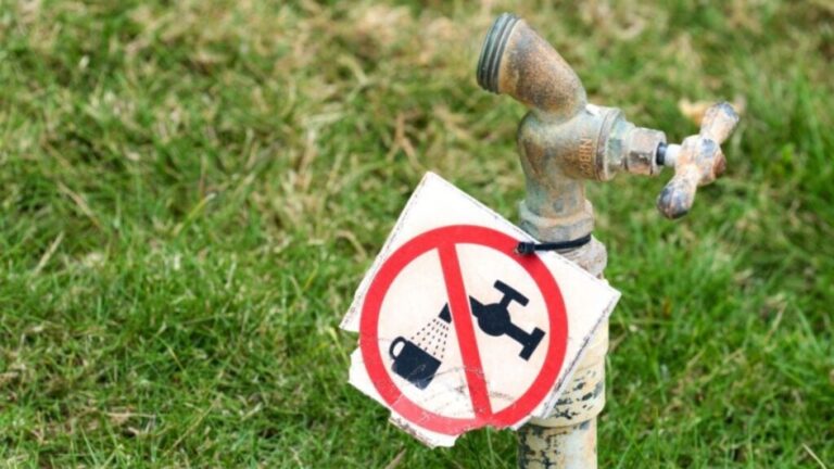 R26 Billion Down the Drain: South Africa's Wasted Wealth
