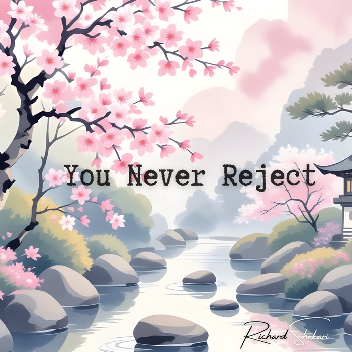 Richard Shekari - You Never Reject